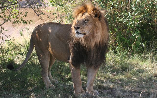 6days-kenya-safari